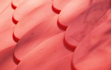 Warleggan plastic roof costs